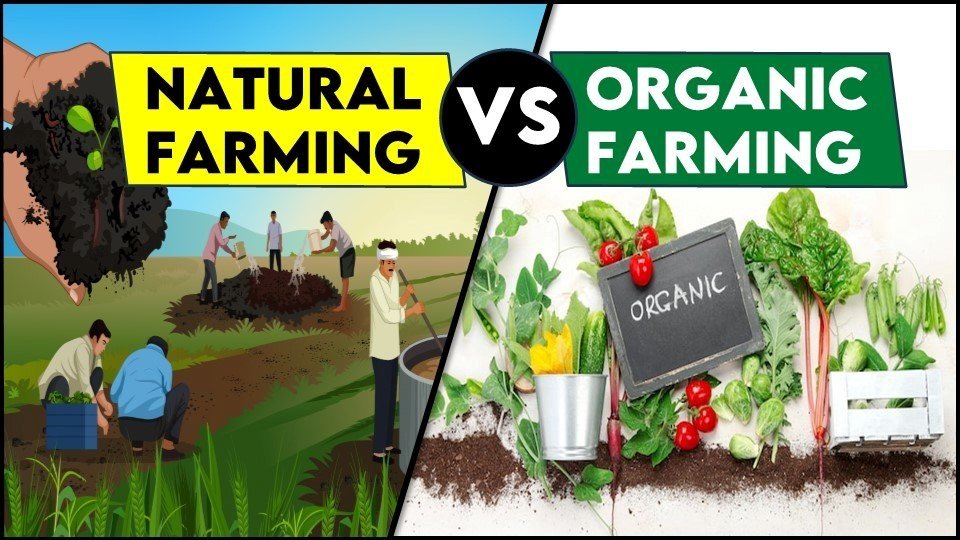 Natural Farming and Organic farming 