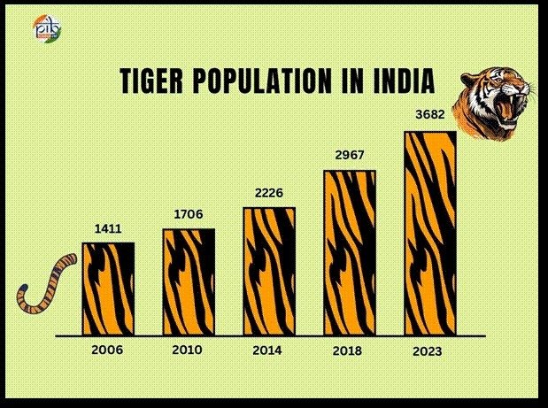 tiger population