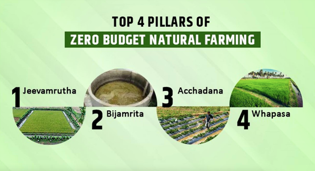 Zero Budget Natural Farming 