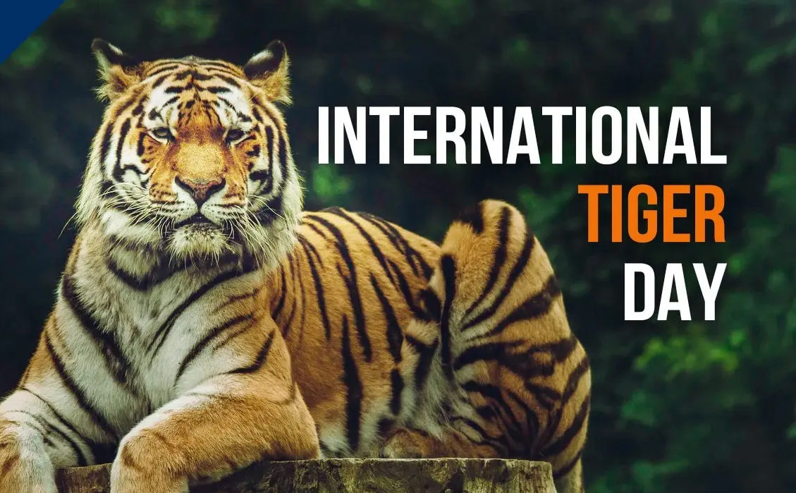 International Tiger Day