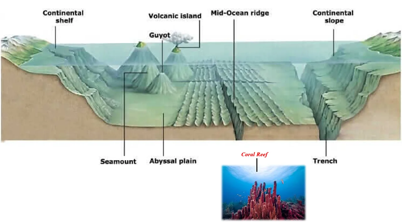 Major Underwater Structures