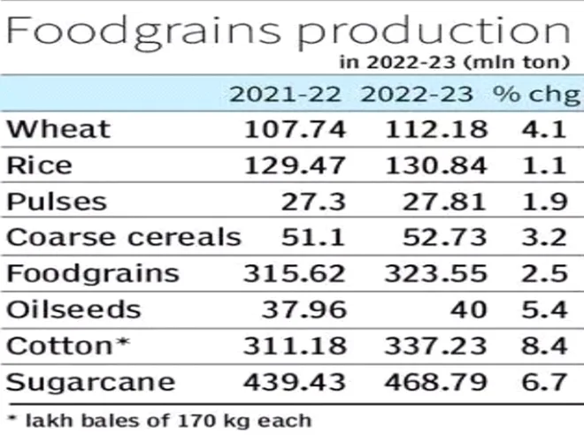 food grains production