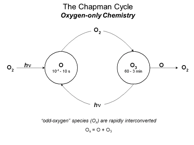 Chapman cycle