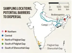Population of elephants in India