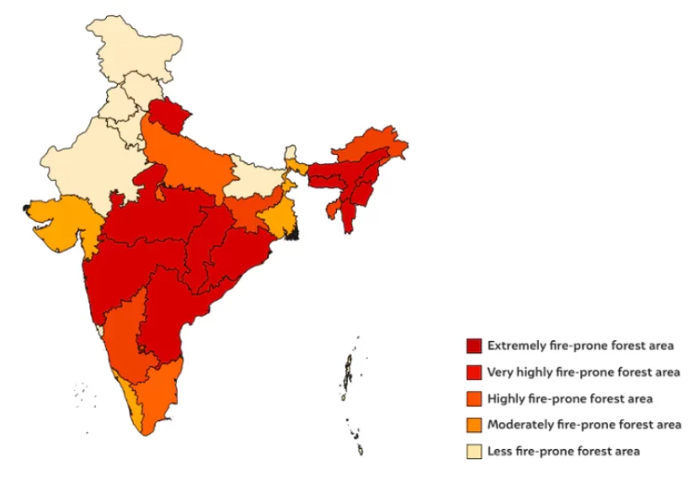 Forest Fire Incidents in India