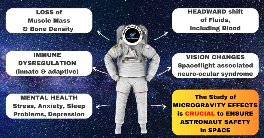 Impact of Space Travel on Astronaut Health