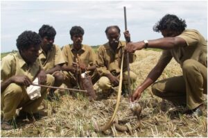 Irula Tribe