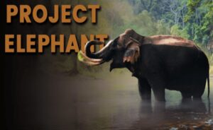 Steering Committee Meeting of Project Elephant