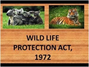 Wildlife (Protection) Act 1972