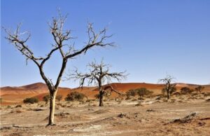 Global Drought Outlook 2025