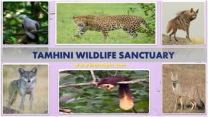 Tamhini Wildlife Sanctuary