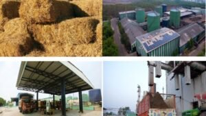 MNRE Revises Biomass Guidelines to Boost Bio Energy