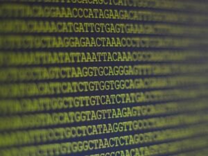 Gujarat Genome Sequencing Project
