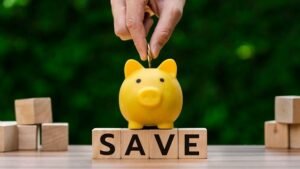 Household Savings