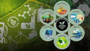 Bioeconomy