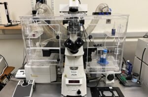 Ultrafast Microscope