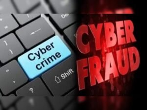 Financial Fraud Risk Indicator