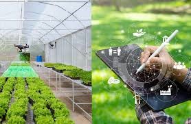 AI based Agriculture API