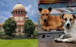 Supreme Court Order on Stray Dog Crisis