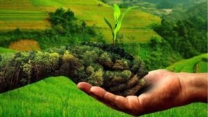 Natural Farming