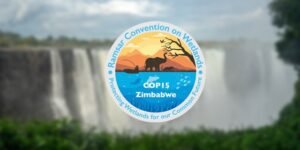 COP15