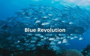 Five Years of Blue Revolution