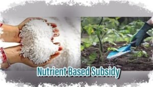 Nutrient Based Subsidy Scheme