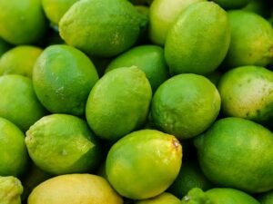 India Exports First GI-Tagged Indi & Puliyankudi Limes to UK