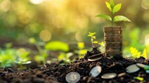 Climate Investment Fund