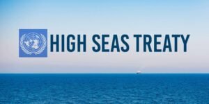 High Seas Treaty