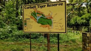 Supreme Court directive on eco-tourism and tiger safari
