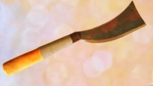 Arunachal Pradesh Dao gets GI tag