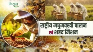 National Beekeeping & Honey Mission