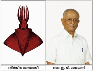 New aquatic species Taningia silasii discovered in the Arabian Sea