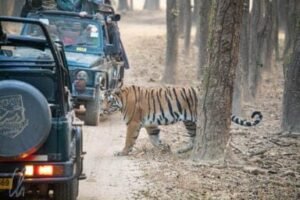 Goa Tiger Reserve Proposal
