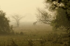 IMD Predicts a Colder and Longer Winter for North and Central India