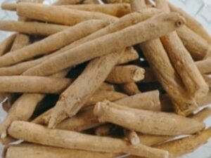 Nagauri Ashwagandha gets GI tag