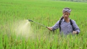 Pesticide Management Bill 2025