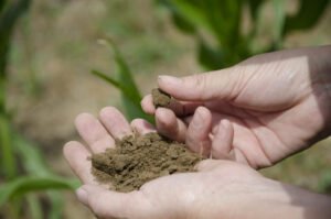 ICRIER Healing Soils in India Report