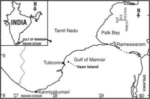 Van Island in the Gulf of Mannar