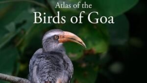Goa state-level bird atlas released