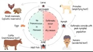 Kyasanur Forest Disease