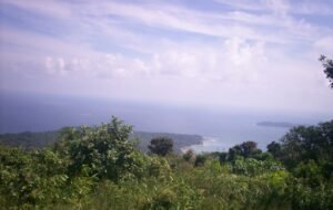 NGT nod for Great Nicobar Island mega-project