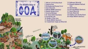 Goa Set to Release Its First Biodiversity and Culture Map