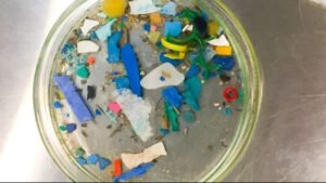 Conversion of plastic waste into vinegar