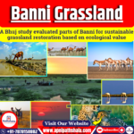 Restoration Of Banni Grassland