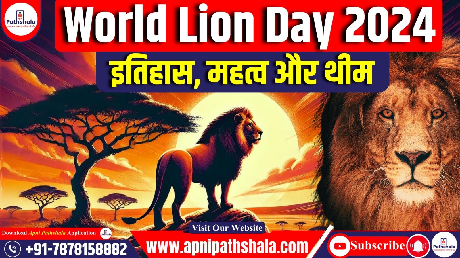 World Lion Day 2024