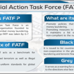 FATF Mutual Evaluation Report on India