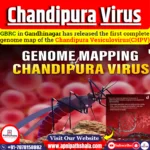 Genome Mapping of Chandipura Virus
