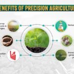 ₹6,000-Crore Scheme to Enhance Precision Farming